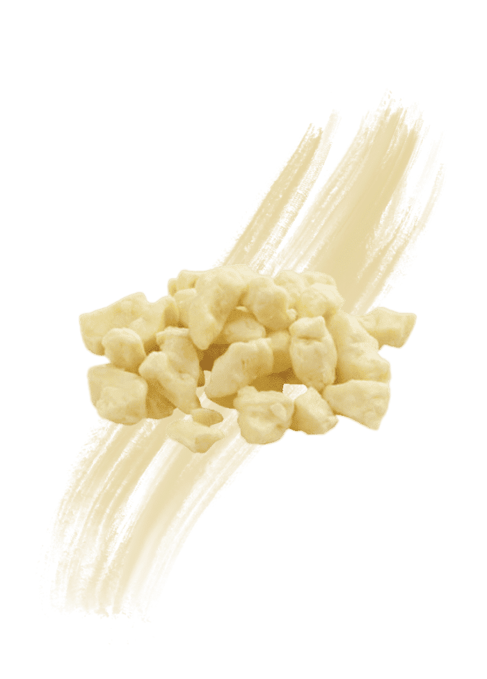 Formaggio in grani-cheese-a-poutine